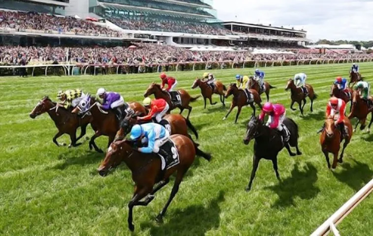 Bí Quyết Thắng Lớn Cá Cược Đua Ngựa JBO Với Tỷ Lệ Thưởng Hấp Dẫn 2025