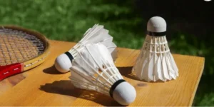 Hướng Dẫn Chơi Cá Cược Cầu Lông JBO Thắng Lớn Mỗi Trận Đấu