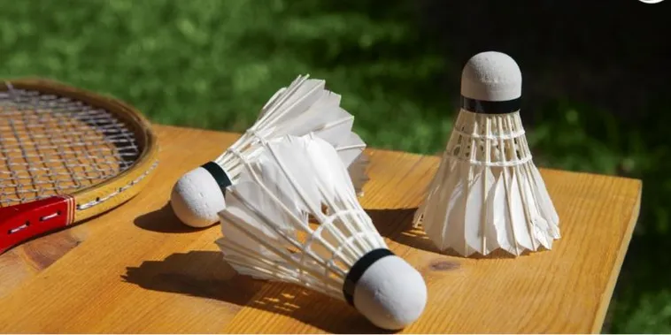 Hướng Dẫn Chơi Cá Cược Cầu Lông JBO Thắng Lớn Mỗi Trận Đấu